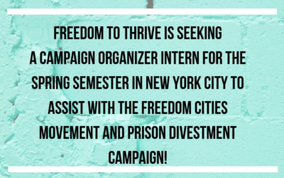 Campaign Organizer Intern