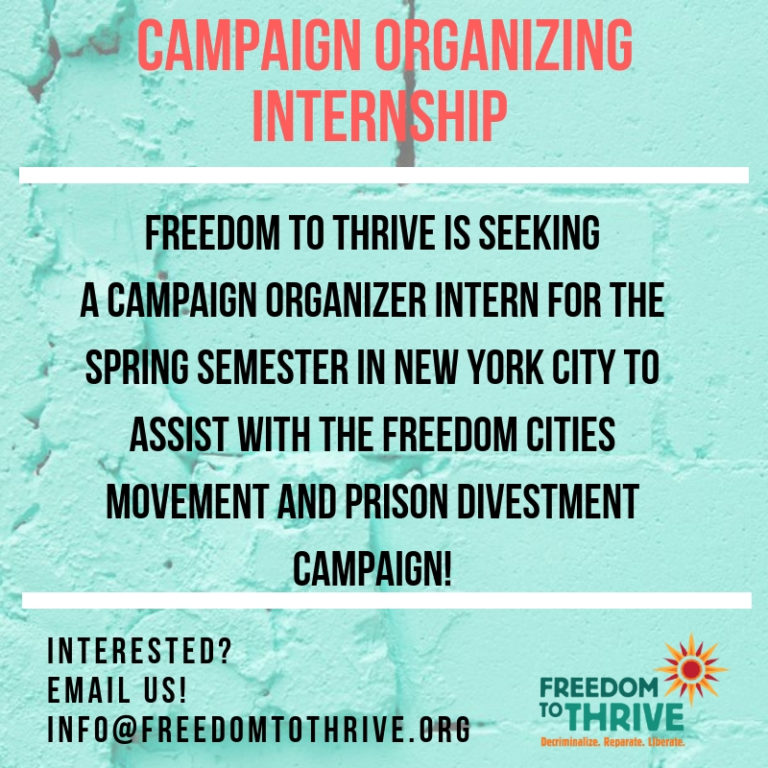 find your freedom internship